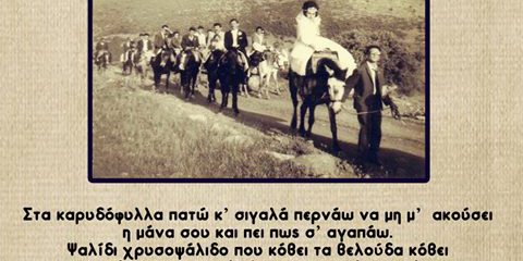 20369754_1893784970944552_9142215640141368805_o